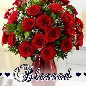 Meet your Posher, Elsie